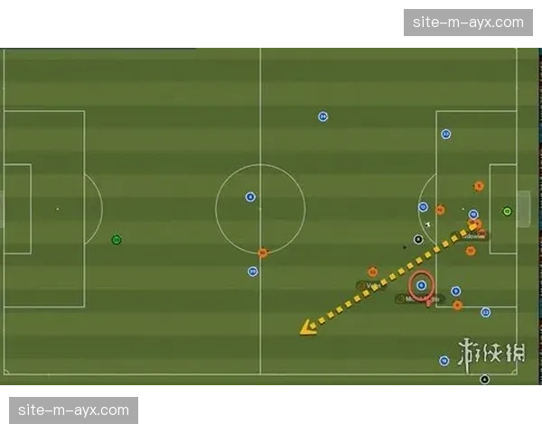 约旦半岛之鹰阵型灵活切换，平托主推4-2-3-1双后腰阵型限制亚洲强敌控球节奏